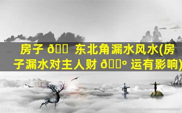 房子 🐠 东北角漏水风水(房子漏水对主人财 🌺 运有影响)